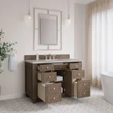 Bristol 48" Single Vanity, Whitewashed Walnut w/ 3 CM Victorian Silver Silestone Top