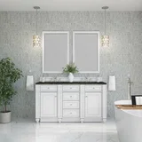 Bristol 60" Double Vanity, Bright White, w/ 3 CM Phantome Eclos Top