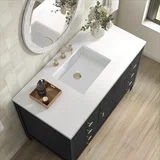 Myrrin 48" Single Vanity, Carbon Oak