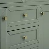 Chicago 48" Single Vanity, Smokey Celadon, w/ 3 CM Victorian Silver Silestone® Top w/FreePower Wireless Charger