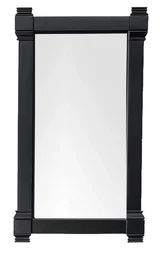 Brittany 22" Mirror, Black Onyx