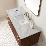 Amberly 48" Single Vanity, Mid-Century Walnut w/ 3 CM Victorian Silver Top w/FreePower Wireless Charger