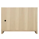 Gracyn 48" Single Vanity, Coastal Driftwood