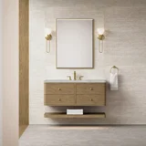 Allamari 48" Single Vanity, Dune Mist w/ 3 CM Victorian Silver Silestone Top