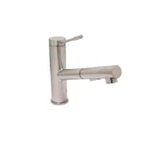 Euro Pull-Out Kitchen — PVD Satin Nickel
