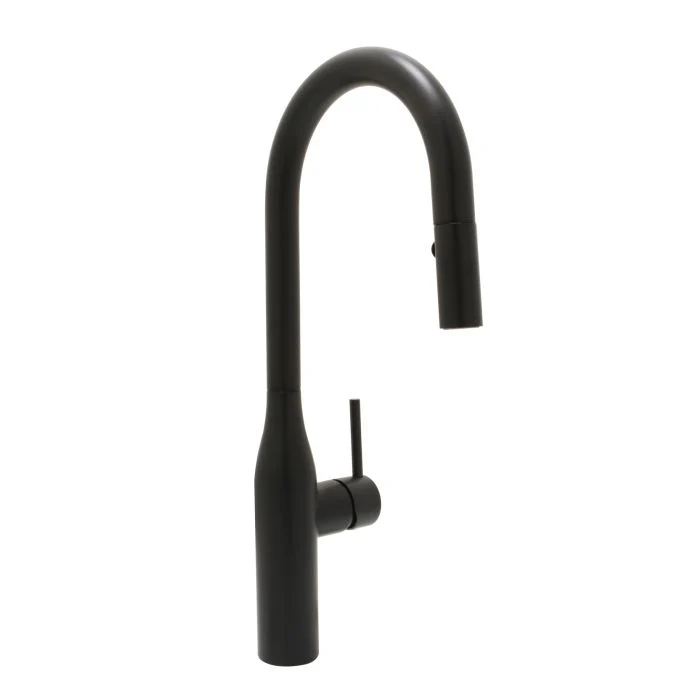 Rise Kitchen Faucet — Matte Black