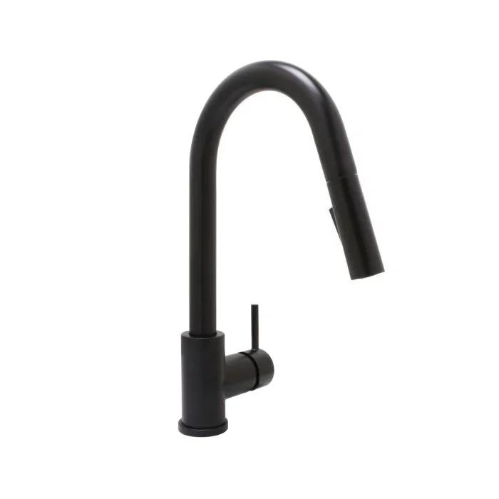 Builder Kitchen Faucet — Matte Black