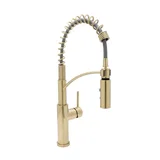 Euro-Pro Kitchen Faucet — PVD Satin Brass