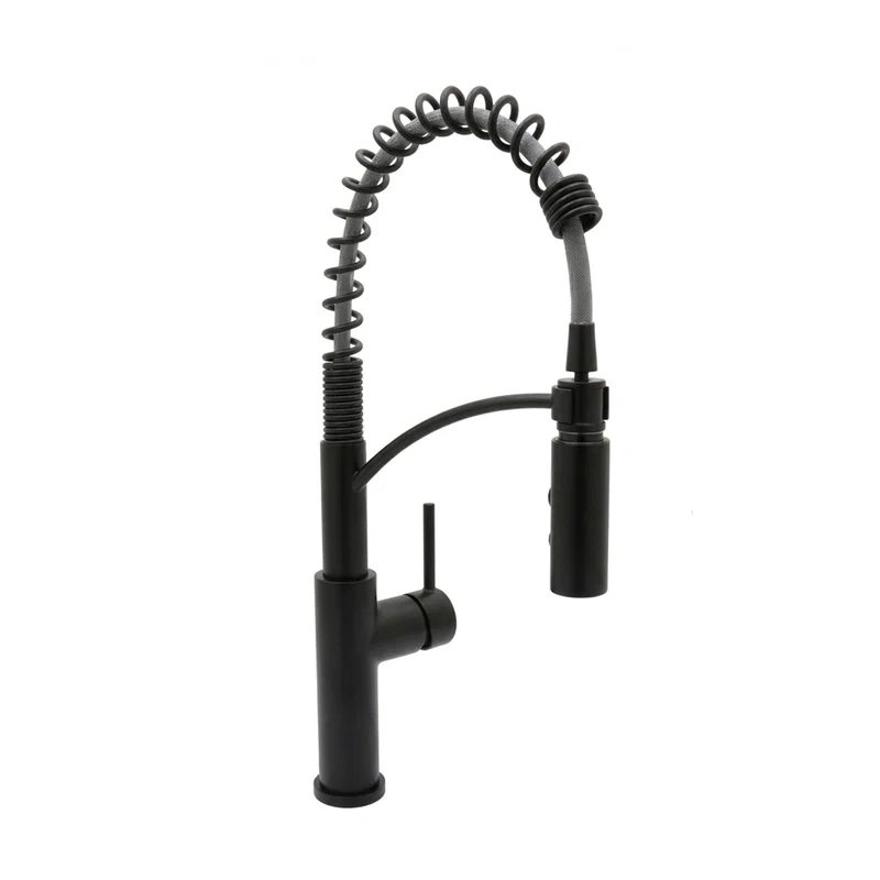 Euro-Pro Kitchen Faucet — Matte Black