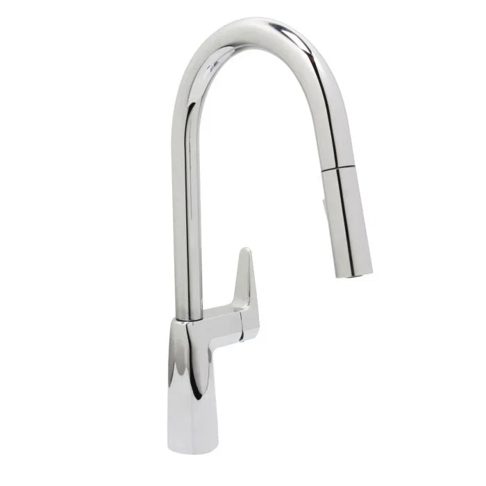 Loma Kitchen Faucet — Chrome