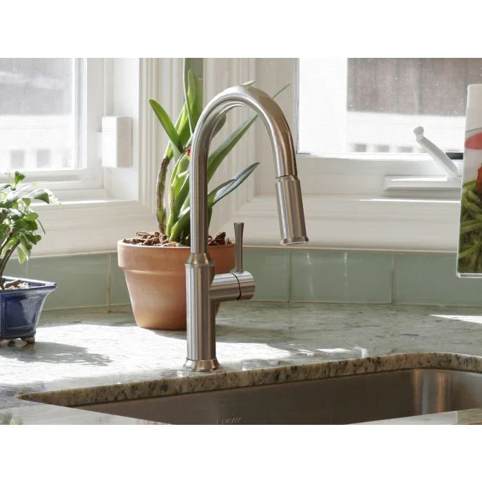 Albany Kitchen Faucet — PVD Satin Nickel