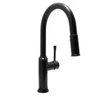 Albany Kitchen Faucet — Matte Black