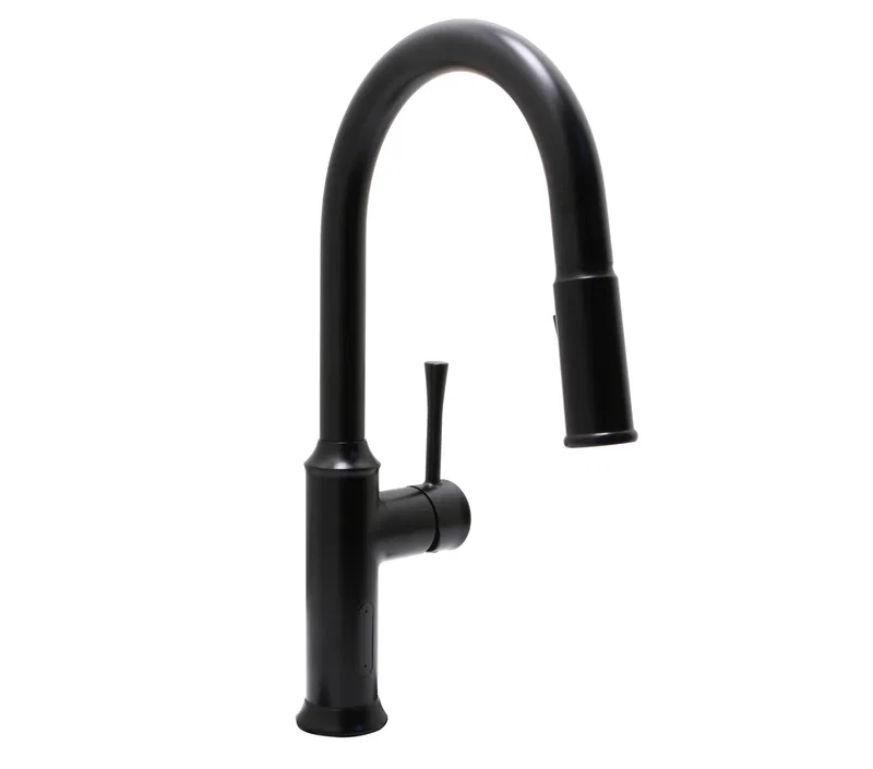 Albany Kitchen Faucet — Matte Black