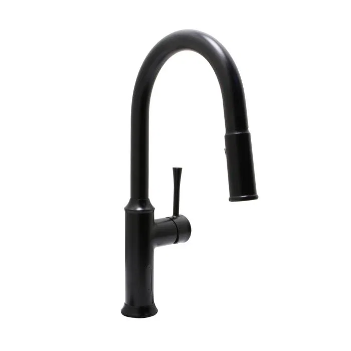 Albany IS - Voice and Sensor Activated — Matte Black