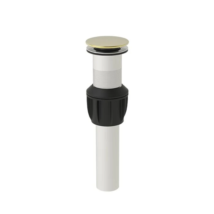 Drain Accessory — PVD Satin Brass