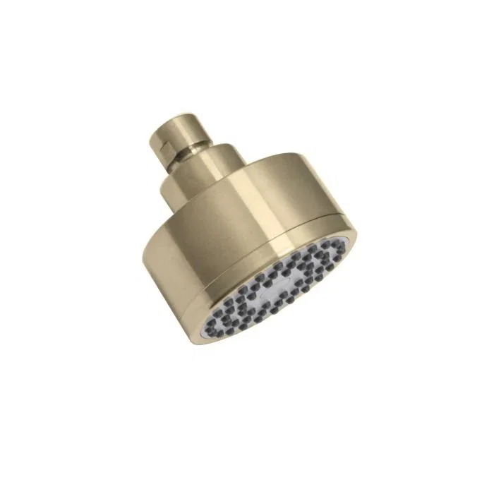 Shower Head — PVD Satin Brass