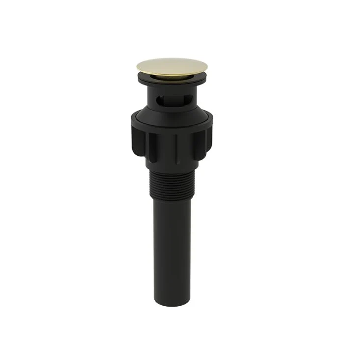 Drain Accessory — PVD Satin Brass