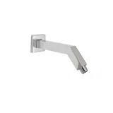 Shower Arm And Flange — Chrome