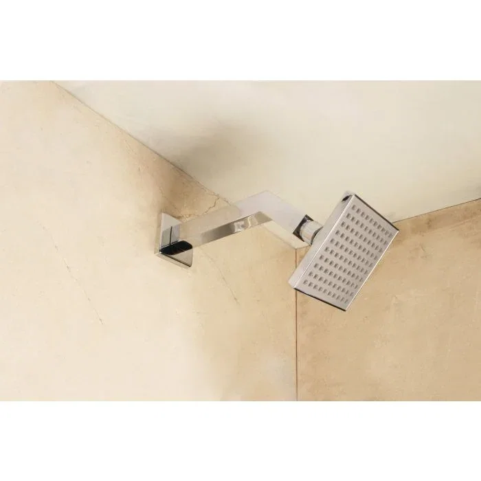 Shower Arm And Flange — Chrome