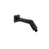 Shower Arm And Flange — Matte Black