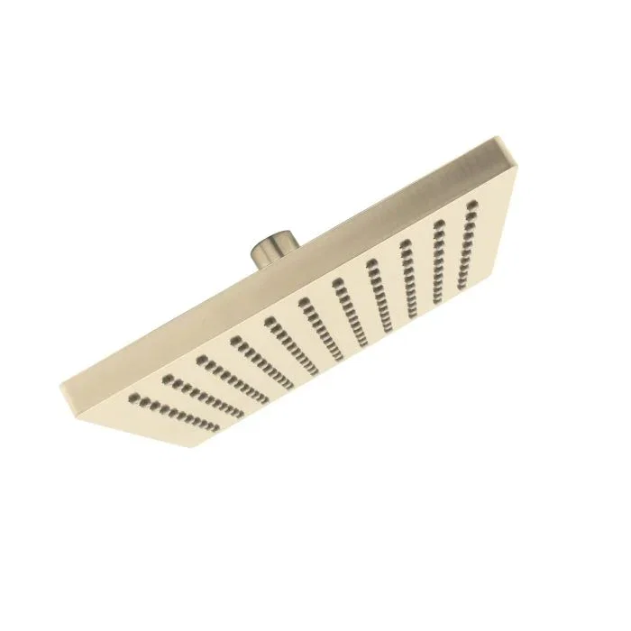 8" Shower Head — PVD Satin Brass