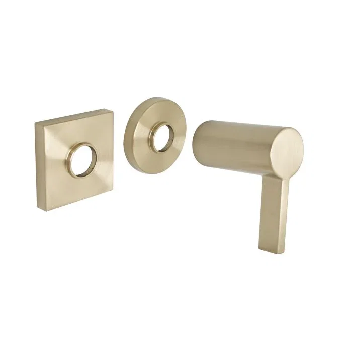 Handle Trim — PVD Satin Brass