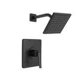 Delmere Shower — Matte Black