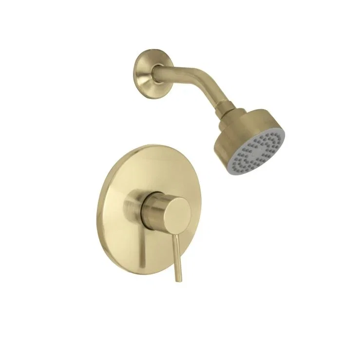 Euro Shower Trim — PVD Satin Brass
