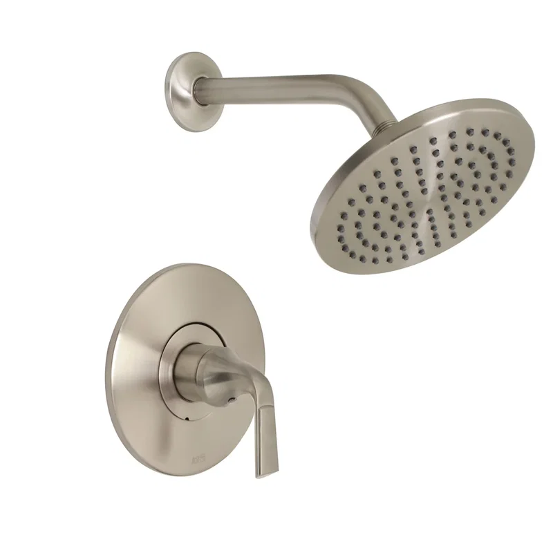 Joy Shower — PVD Satin Nickel