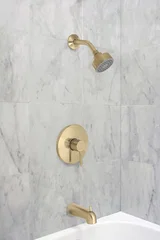 Euro Tub & Shower — PVD Satin Brass