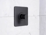 Sevaun Tub & Shower Trim — Matte Black