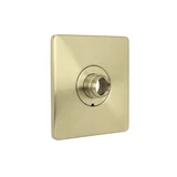 Shower Valve Trim — PVD Satin Brass