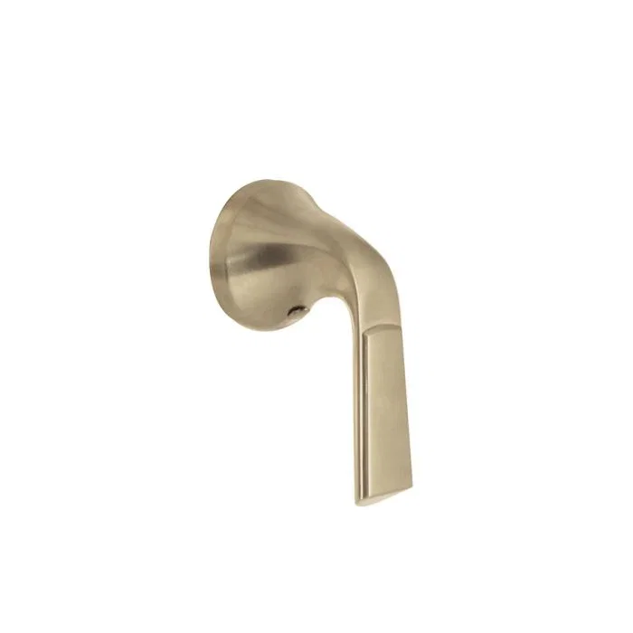 Optional Handle — PVD Satin Brass