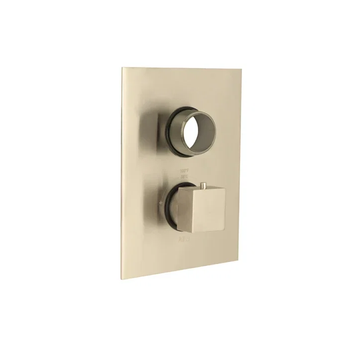 Thermostatic Face Plate Trim — PVD Satin Brass