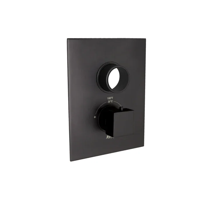 Thermostatic Face Plate Trim — Matte Black
