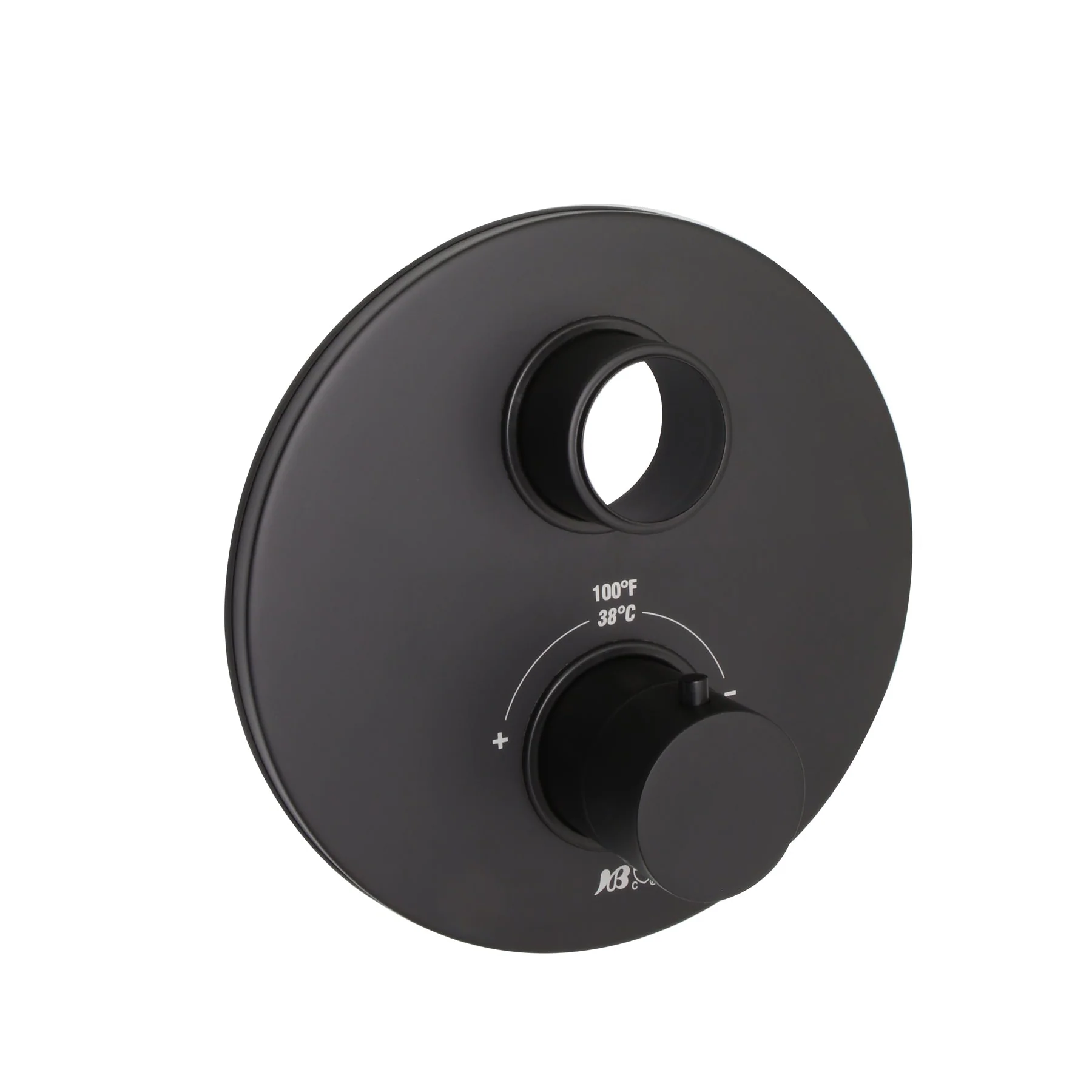 Thermostatic Face Plate Trim — Matte Black