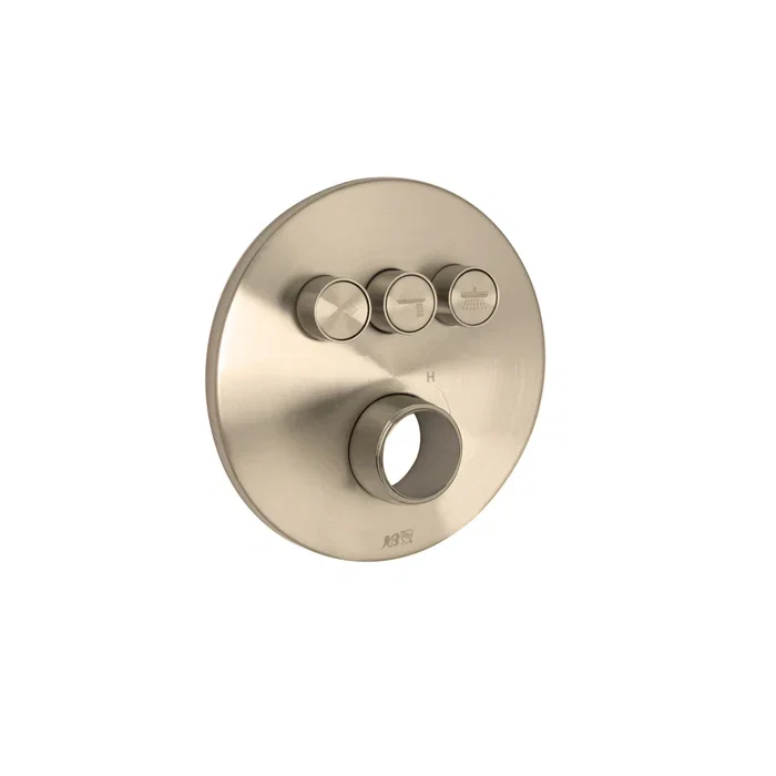 Push Button Trim — PVD Satin Brass
