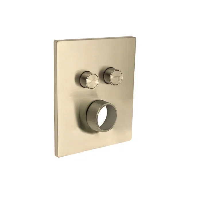 Push Button Trim — PVD Satin Brass