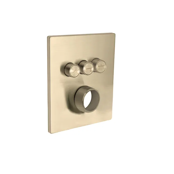 Push Button Trim — PVD Satin Brass