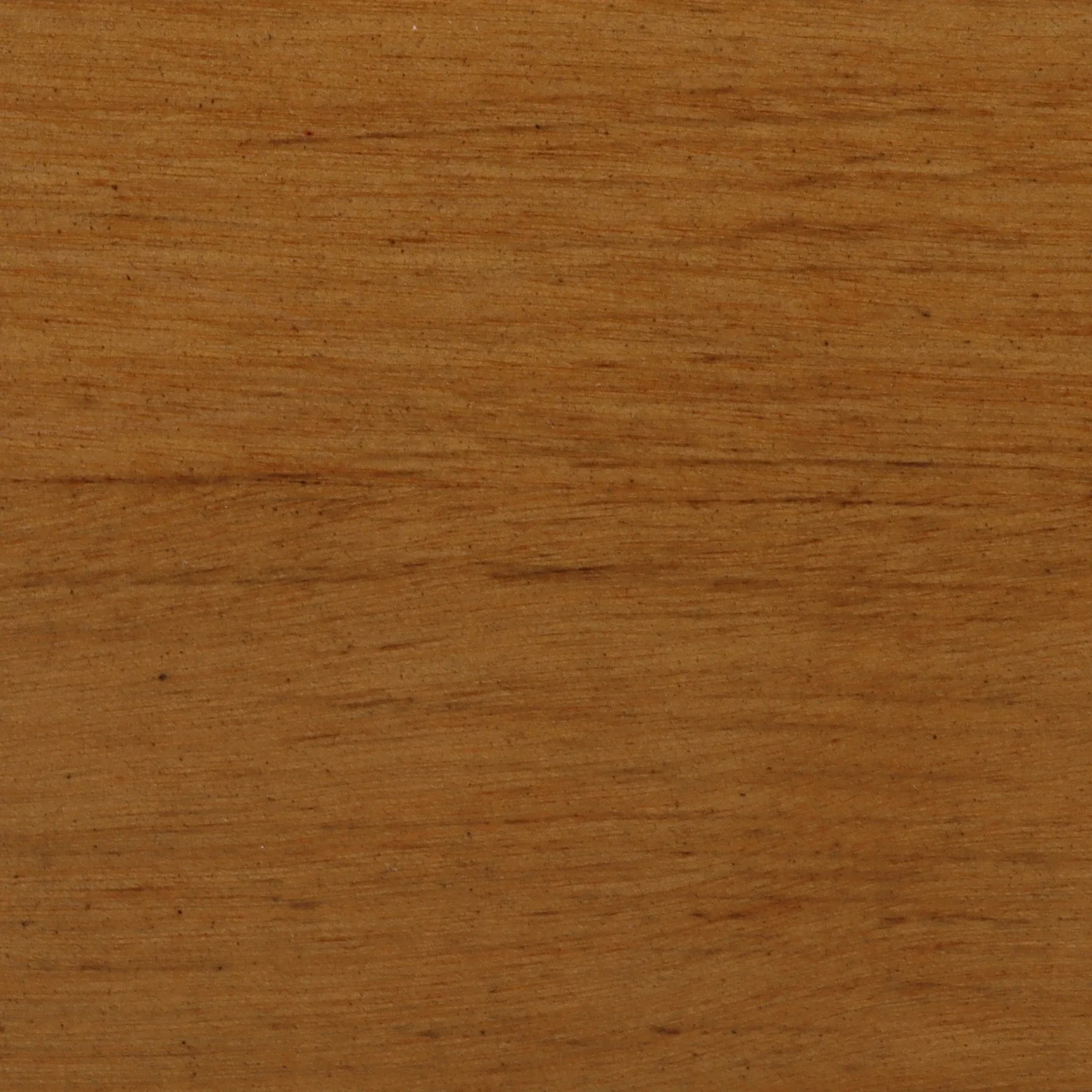 Wood Sample - Amber Birch
