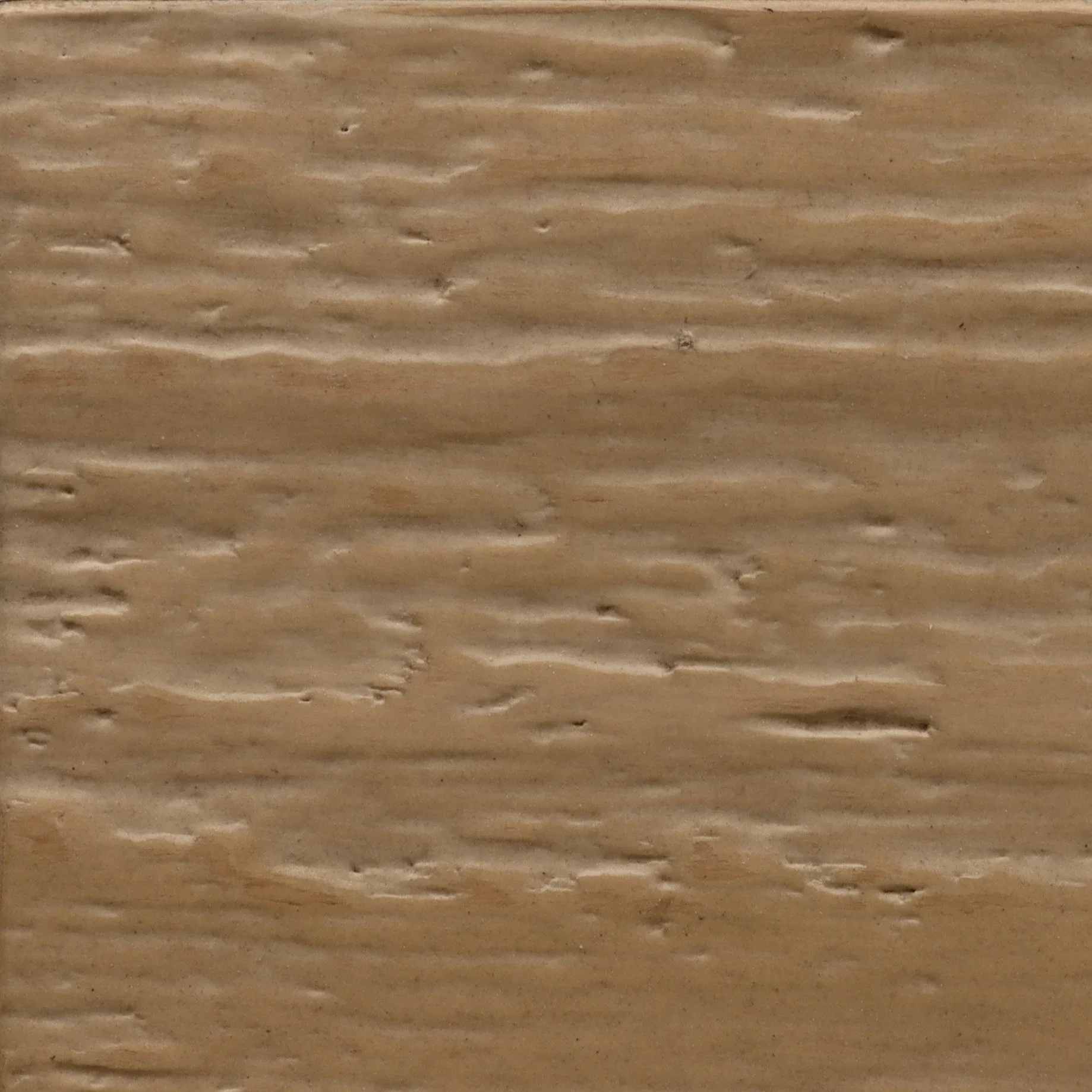 Wood Sample - Coastal Driftwood