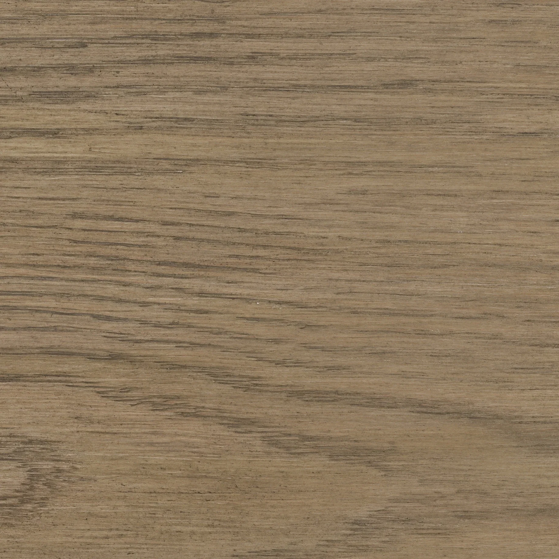 Dune Mist Wood Sample
