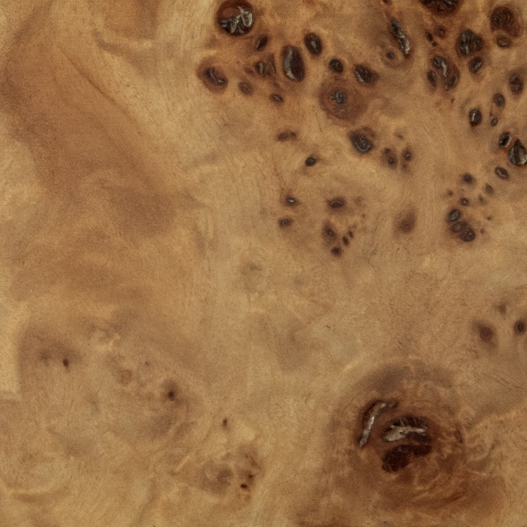 Wood Sample - Light Mappa Burl