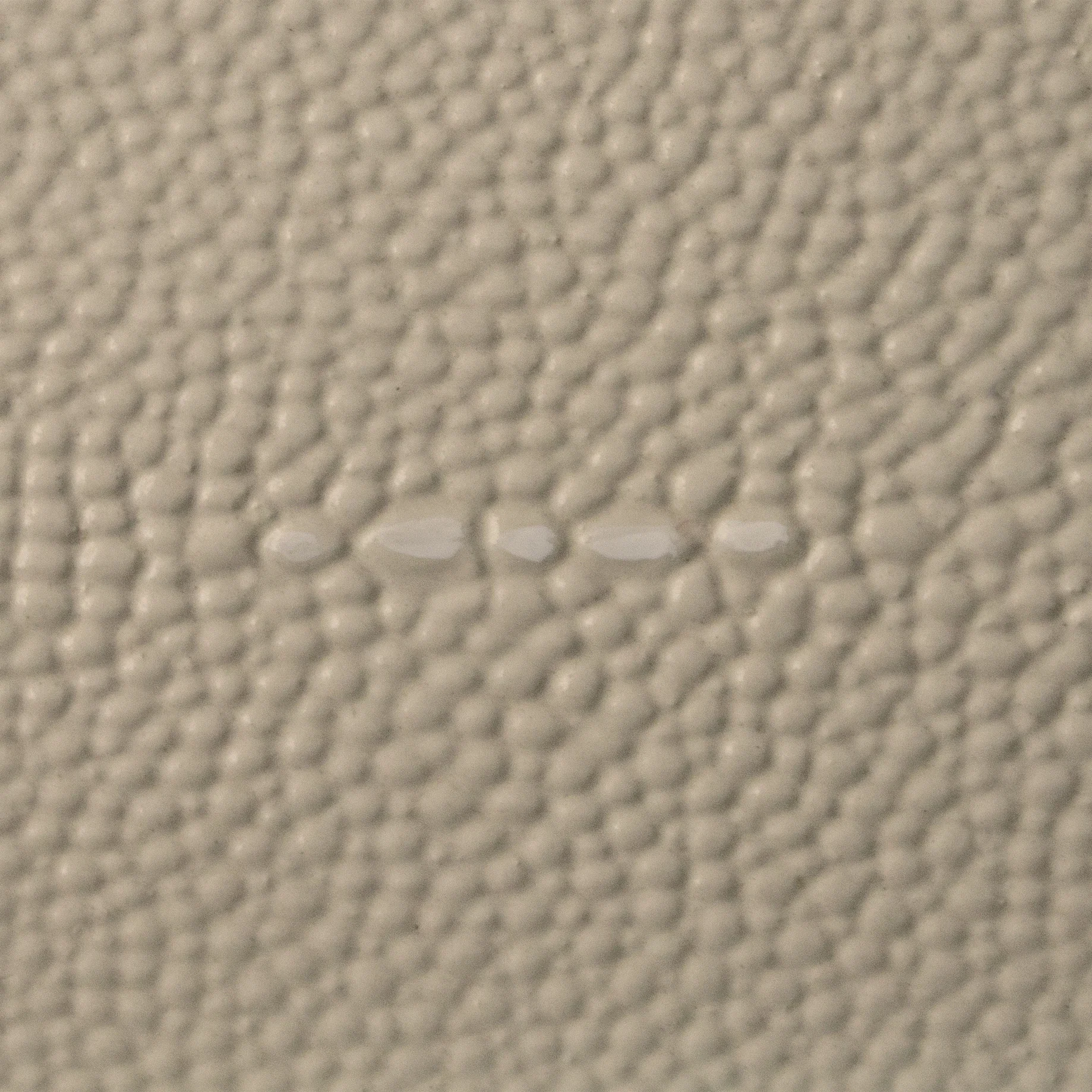 Wood Sample - Oyster Shagreen