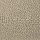 Wood Sample - Oyster Shagreen