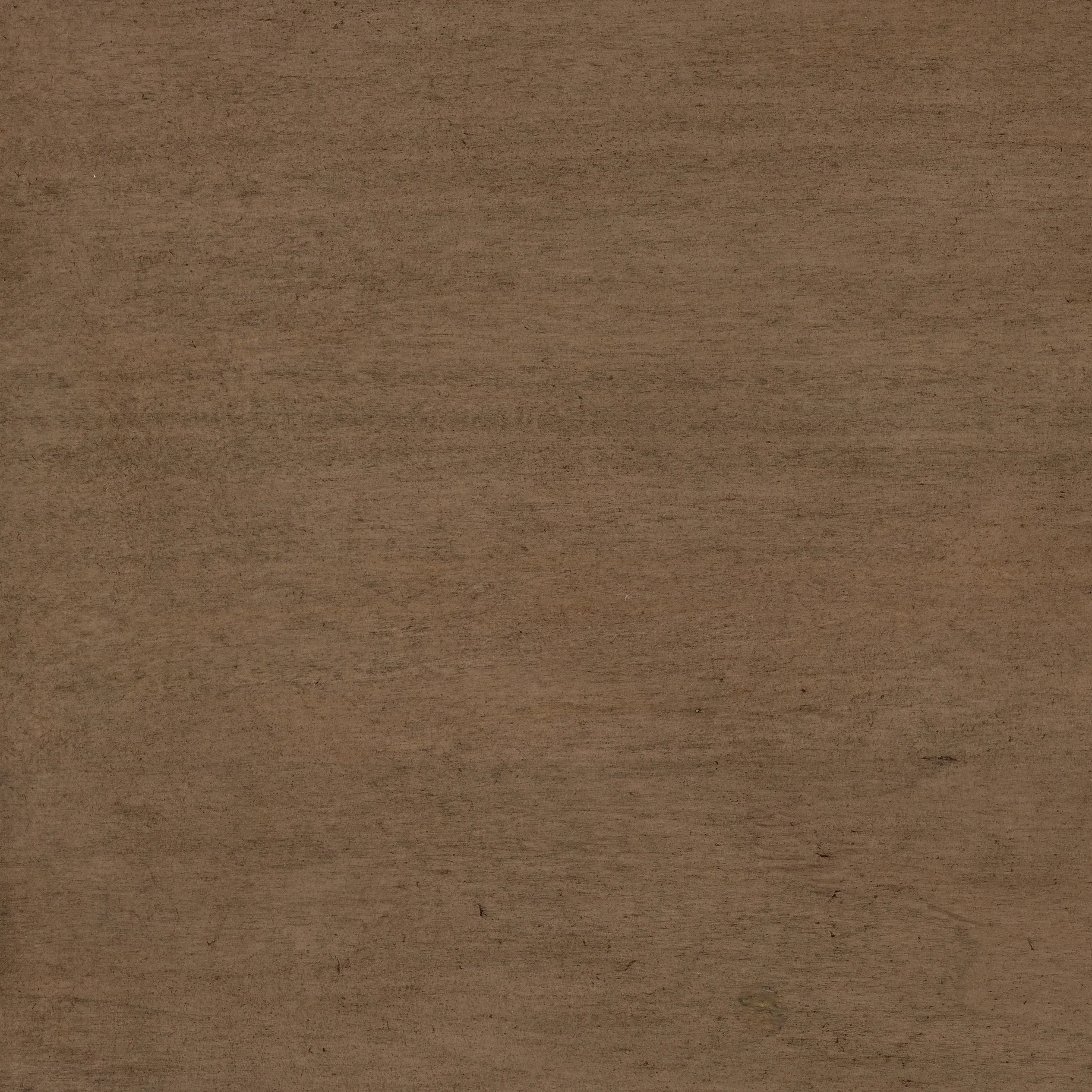 Wood Sample - Pecan