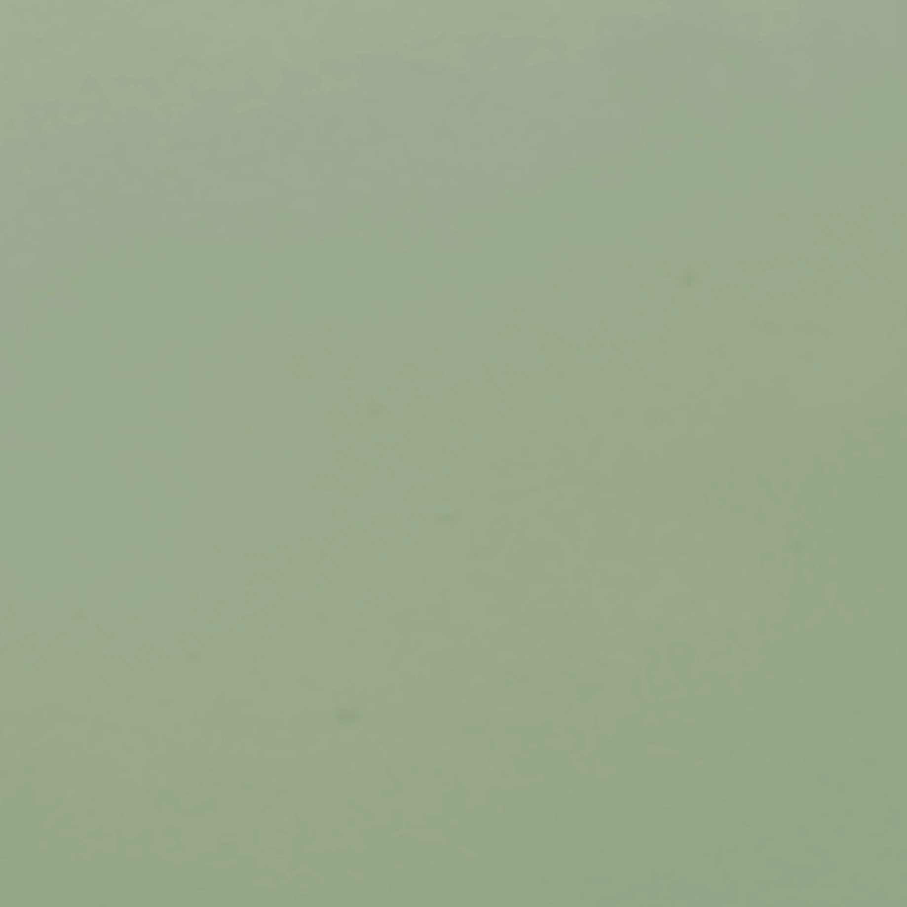 Wood Sample - Pistachio