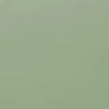 Wood Sample - Pistachio