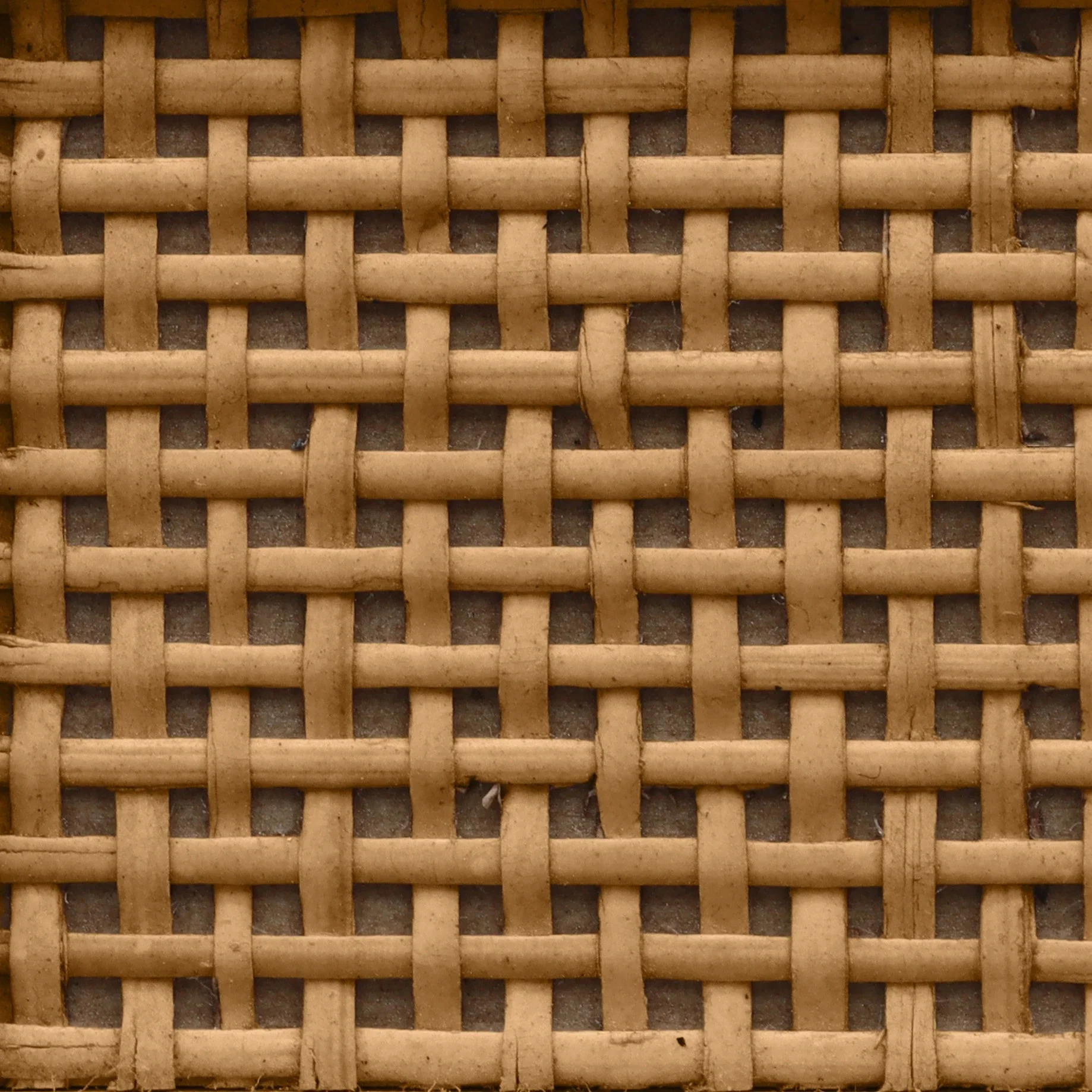 Wood Sample - Seaside Oak Cane