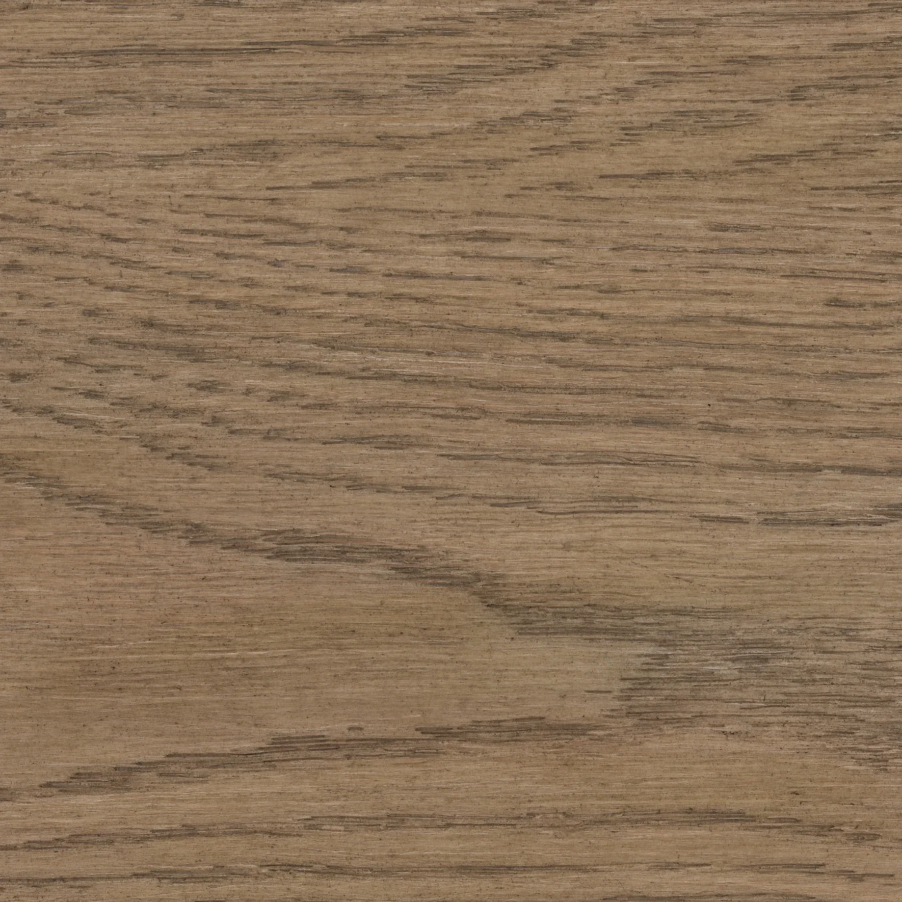 Weathered Oak Wood Sample